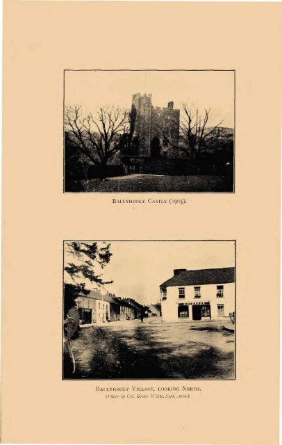 Ballyhooly Castle Cork Past And Present