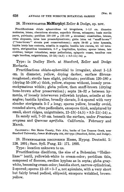 Hymenogaster and related genera.pdf - MykoWeb