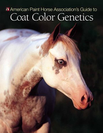 Coat Color Genetics - Press - American Paint Horse Association