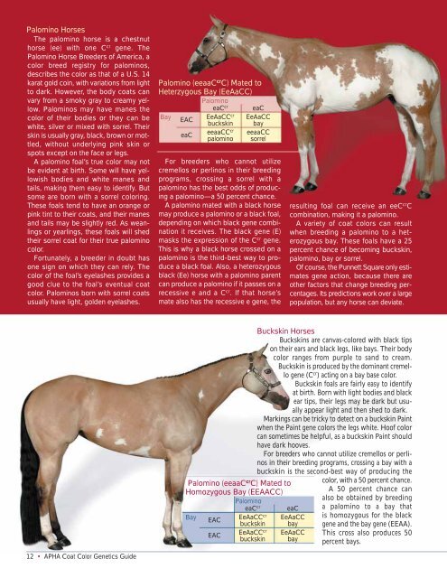 Coat Color Genetics - Press - American Paint Horse Association