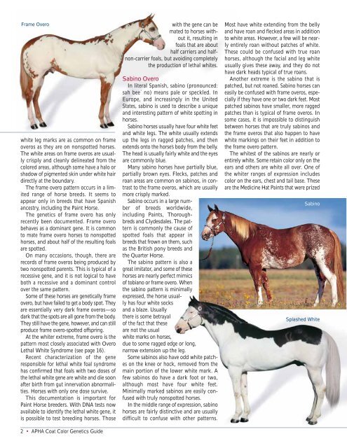 Coat Color Genetics - Press - American Paint Horse Association