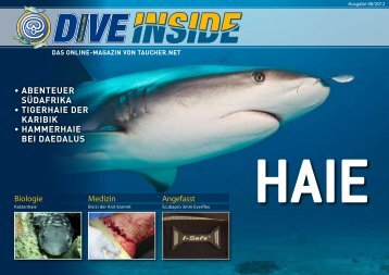 Web-Version (9.5 MB) - DiveInside