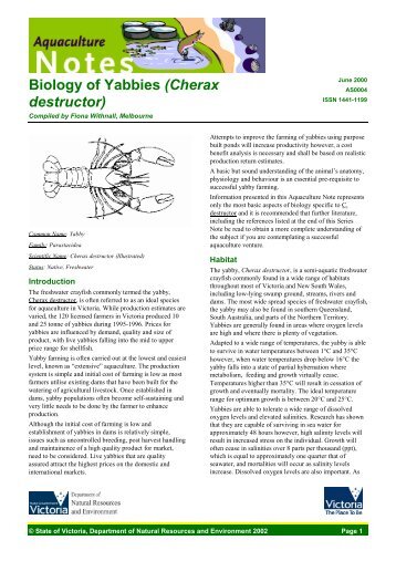 Biology of Yabbies (Cherax destructor) (VIC) - Growfish