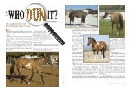 The dun dilution gene can fool you unless - Paint Horse Journal