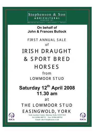 IRISH DRAUGHT & SPORT BRED HORSES - Stephenson & Son