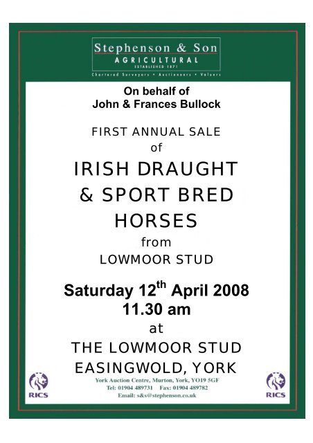 IRISH DRAUGHT & SPORT BRED HORSES - Stephenson & Son