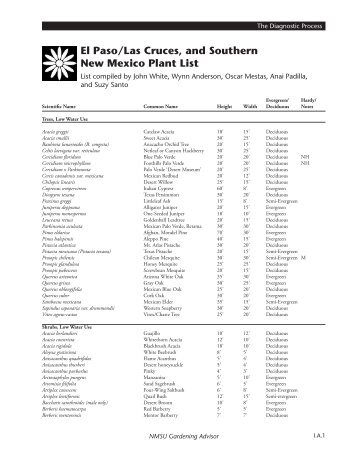 El Paso/Las Cruces, and Southern New Mexico Plant List