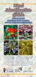 Weed Identification Guide (PDF, 1.63Mb)