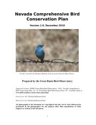Nevada Comprehensive Bird Conservation Plan - Great Basin Bird ...