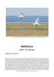 MONGOLIA REP 12 - Birdquest