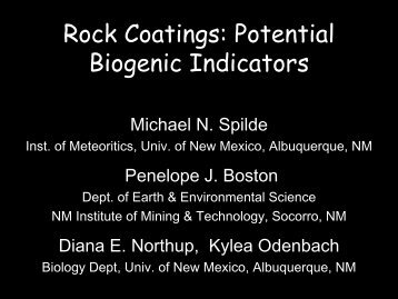 Rock Coatings: Potential Biogenic Indicators