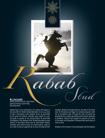 Rabab Stud - Desert Heritage Magazine