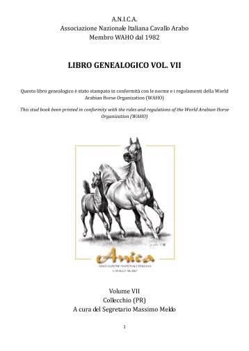LIBRO GENEALOGICO VOL. VII - ANICA