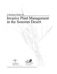Invasive Plant Management in the Sonoran Desert - denix