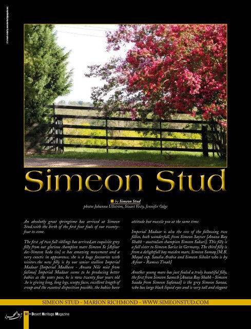 Simeon Stud - Desert Heritage Magazine