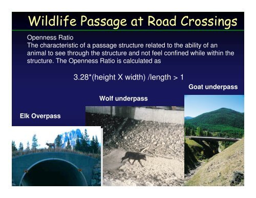 Stream Simulation Design Process - USDA Forest Service