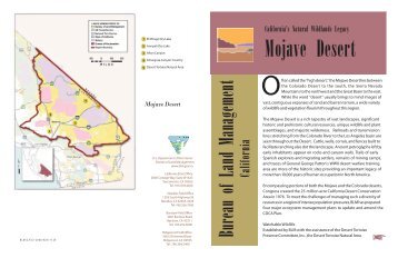 Mojave Desert Brochure - Bureau of Land Management