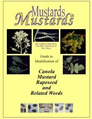 Canola Mustard Rapeseed and Related Weeds in - University of Idaho