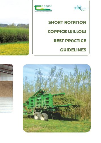 short rotation coppice willow best practice guidelines