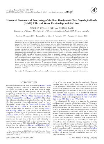 Haustorial Structure and Functioning of the Root ... - Annals of Botany