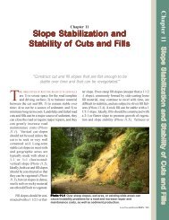 Chapter 11 Slope Stabilization and Stability of Cuts