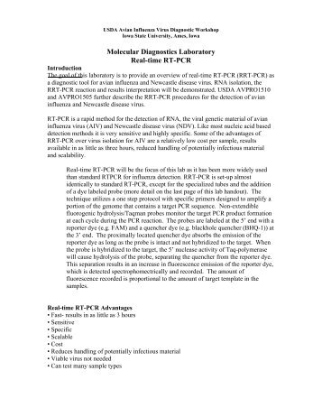 Molecular Diagnostics Laboratory Real-time RT-PCR