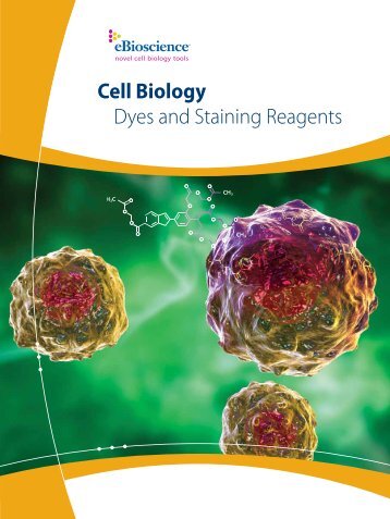 Cell Biology Dyes and Staining Reagents - eBioscience