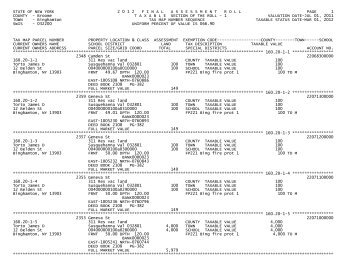 Town of Binghamton - Broome County