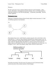 Lecture notes on phylogenetic trees