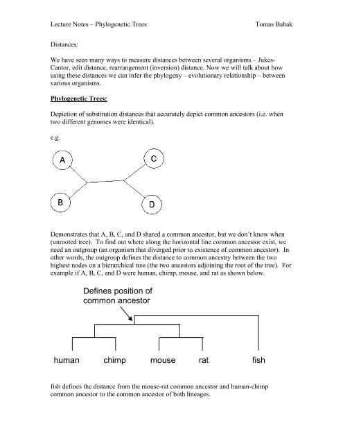 Lecture notes on phylogenetic trees