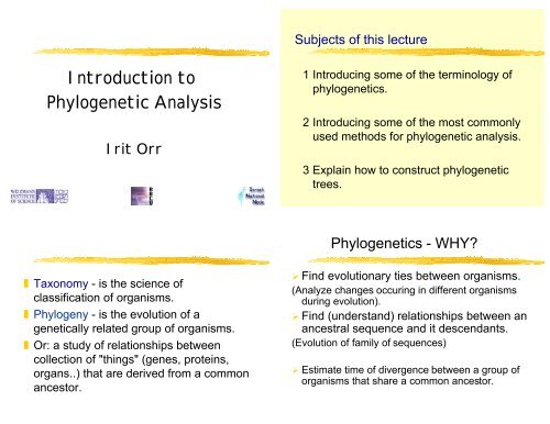 Introduction to Phylogenetic Analysis