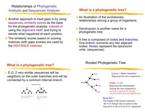 Introduction to Phylogenetic Analysis