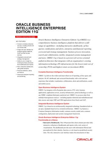 Oracle Business Intelligence Enterprise Edition 11g (PDF)