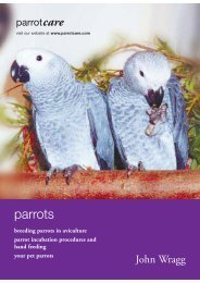 parrots - Parrotcare