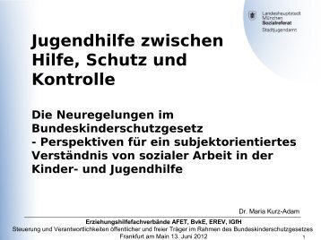 Dr. Maria Kurz-Adam, Stadtjugendamt München: Überblick ... - AFET