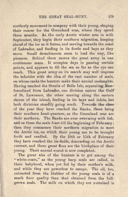 Newfoundland in 1897 - Rumbolt