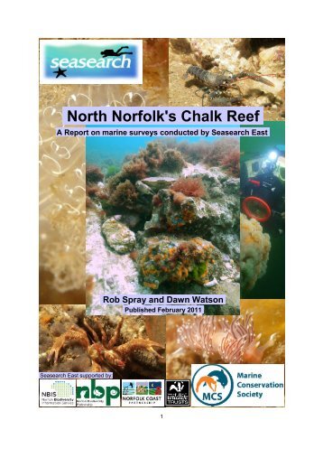 Seasearch East â€“ North Norfolk's Chalk Reef - Norfolk Wildlife Trust