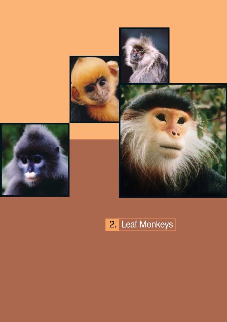 Vietnam Primate Conservation Status Review 2002 - Hoang Lien ...