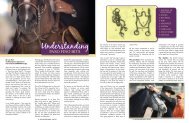 Understanding - Paso Fino Horse Association