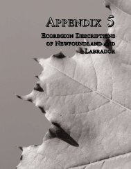 Appendix 5 - Ecoregion Descriptions of Newfoundland and Labrador