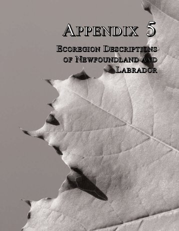 Appendix 5 - Ecoregion Descriptions of Newfoundland and Labrador