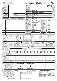 Form. 13.20 A Muster WPB VII