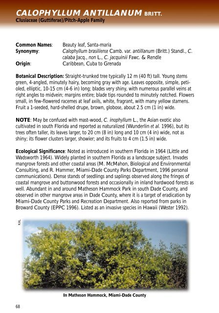 DICOTS - Florida Exotic Pest Plant Council