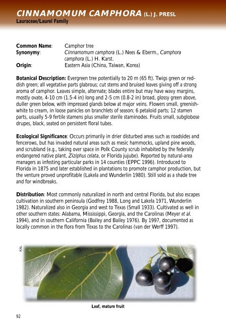 DICOTS - Florida Exotic Pest Plant Council