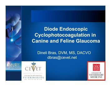 Diode Endoscopic Cyclophotocoagulation in Canine and Feline ...