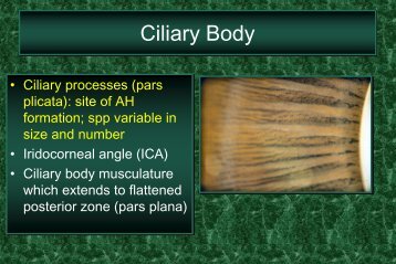 Normal Histology, Part 2