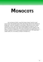 MONOCOTS - Florida Exotic Pest Plant Council