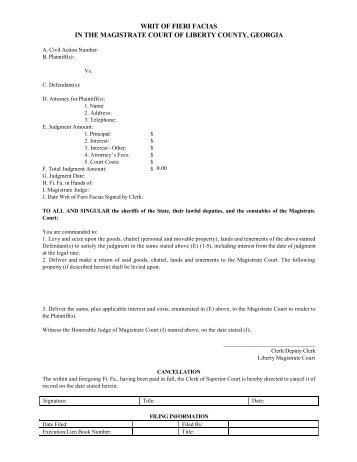 Writ of Fieri Facias - Liberty County Court of Clerks