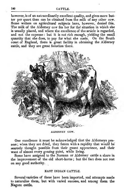 Cattle 1853 - Lewis Family Farm