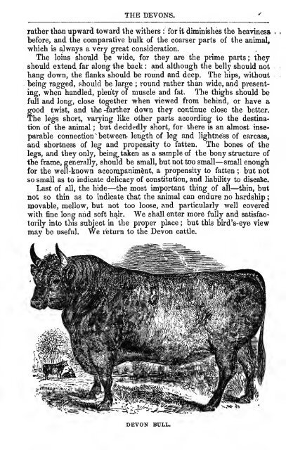 Cattle 1853 - Lewis Family Farm